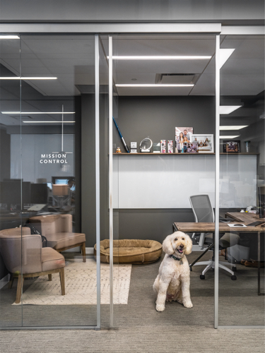 dog in boll and branch office